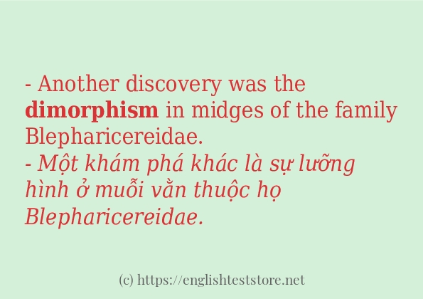 Cách dùng từ dimorphism Cách dùng từ dimorphism