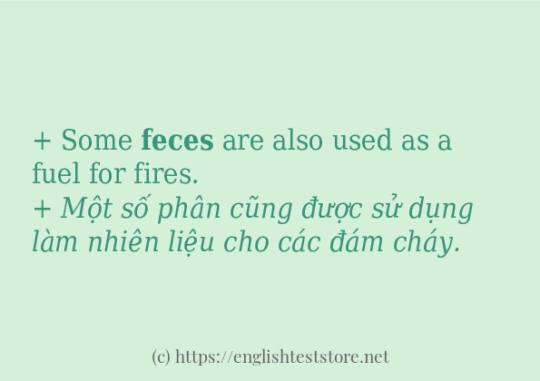 Cách dùng từ feces