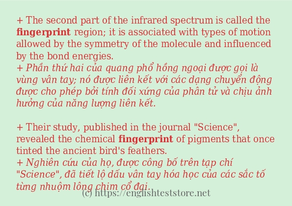 Cách dùng từ fingerprint