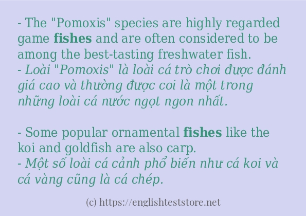 Cách dùng từ fishes Cách dùng từ fishes