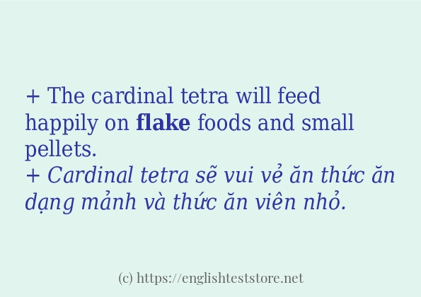 Cách dùng từ flake