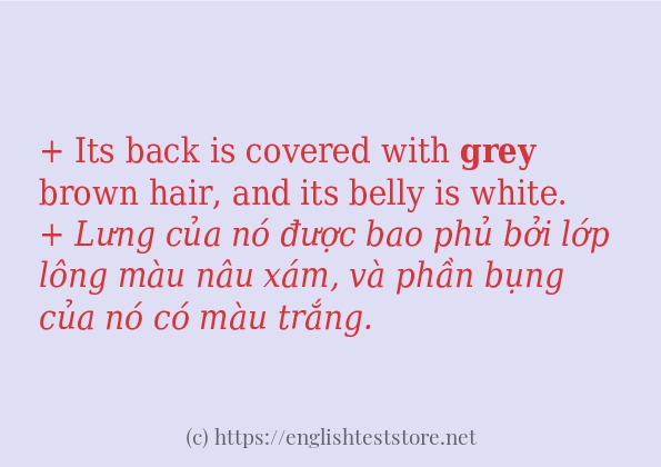 Cách dùng từ grey
