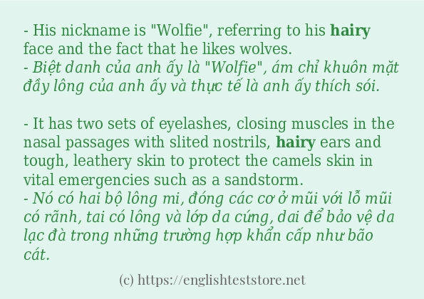 Cách dùng từ hairy