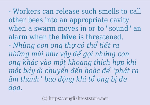 Cách dùng từ hive Cách dùng từ hive