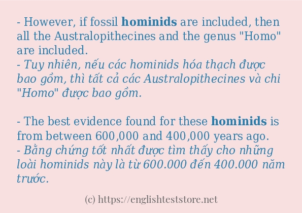 Cách dùng từ hominids