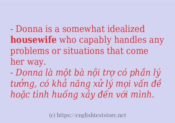 Cách dùng từ housewife