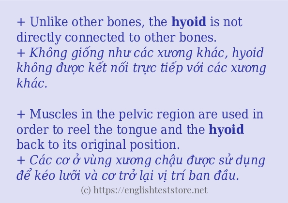 Cách dùng từ hyoid Cách dùng từ hyoid