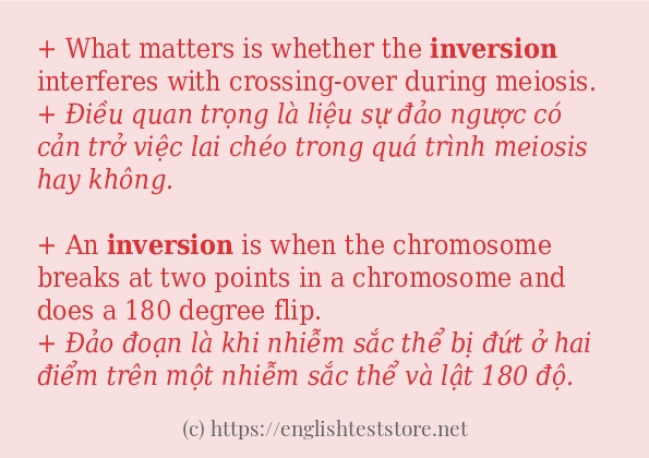 Cách dùng từ inversion Cách dùng từ inversion