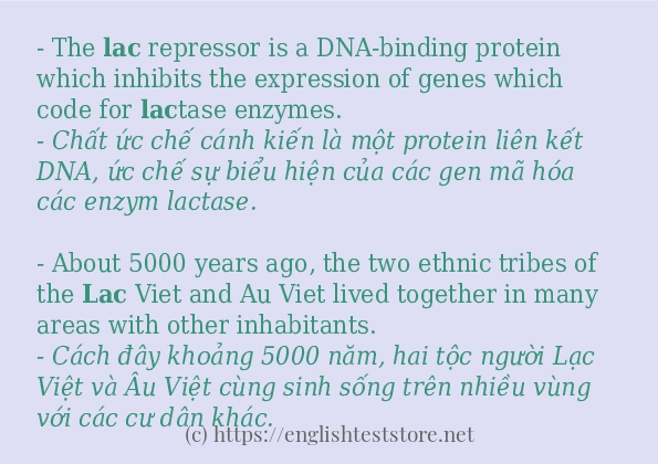 Cách dùng từ lac