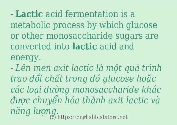 Cách dùng từ lactic
