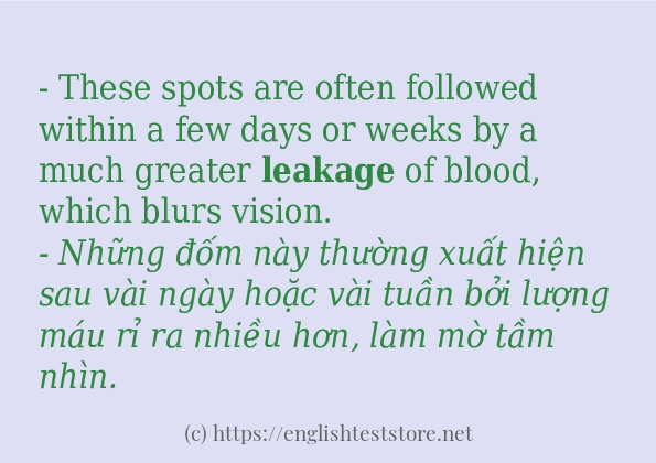 Cách dùng từ leakage