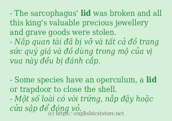 Cách dùng từ lid