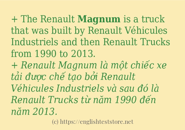 Cách dùng từ magnum