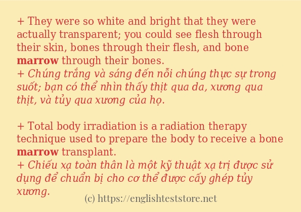 Cách dùng từ marrow