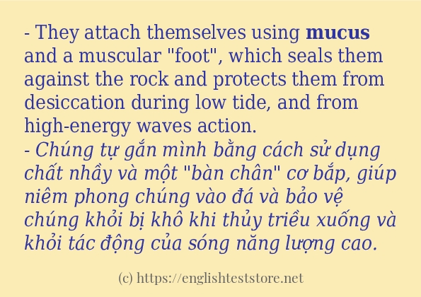Cách dùng từ mucus