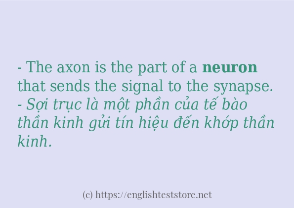 Cách dùng từ neuron Cách dùng từ neuron