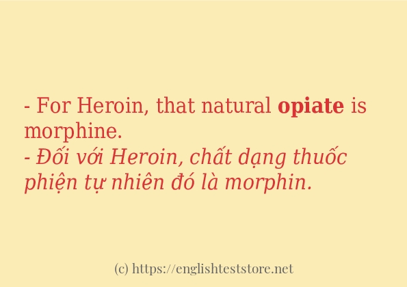 Cách dùng từ opiate