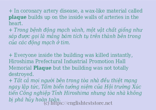 Cách dùng từ plaque