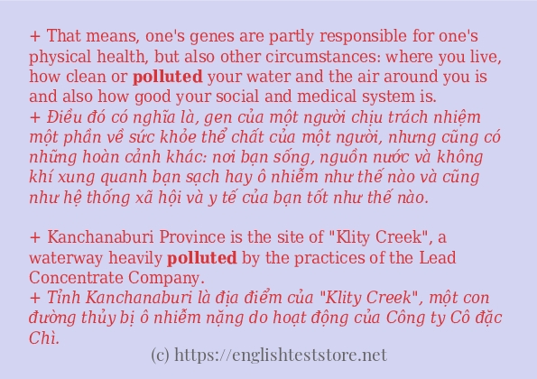 Cách dùng từ polluted