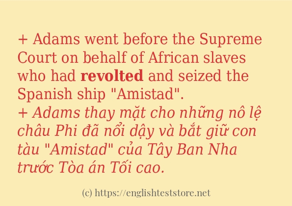 Cách dùng từ revolted