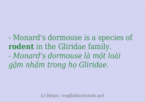 Cách dùng từ rodent