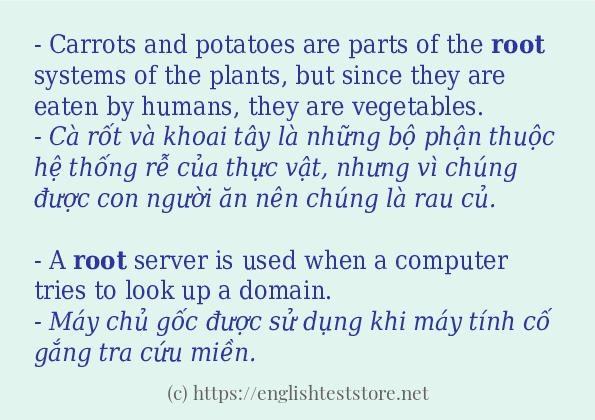 Cách dùng từ root Cách dùng từ root