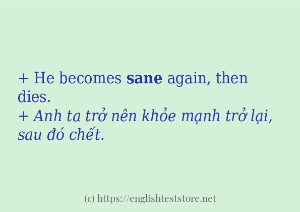 Cách dùng từ sane