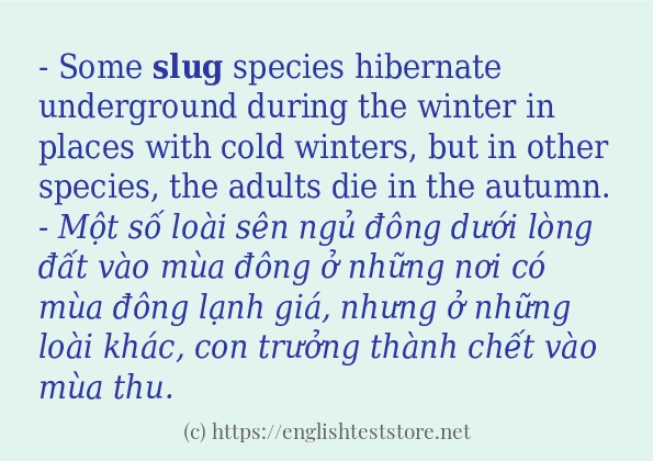 Cách dùng từ slug