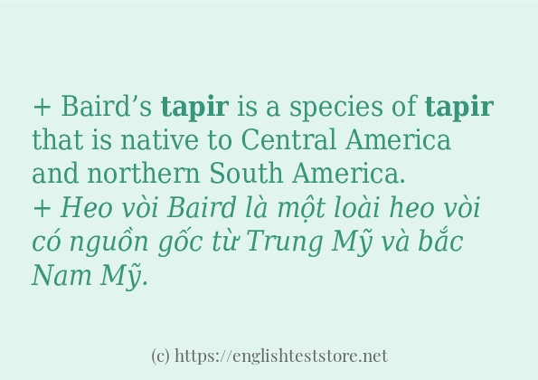 Cách dùng từ tapir