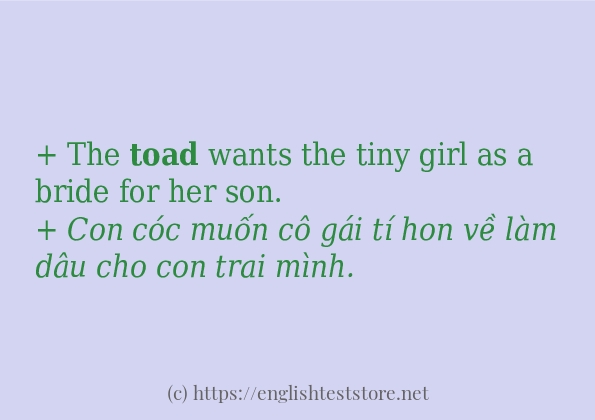 Cách dùng từ toad Cách dùng từ toad