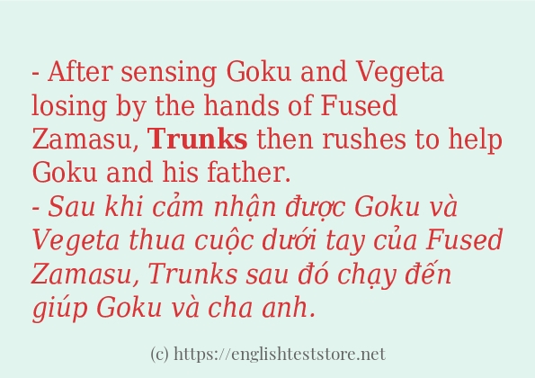Cách dùng từ trunks