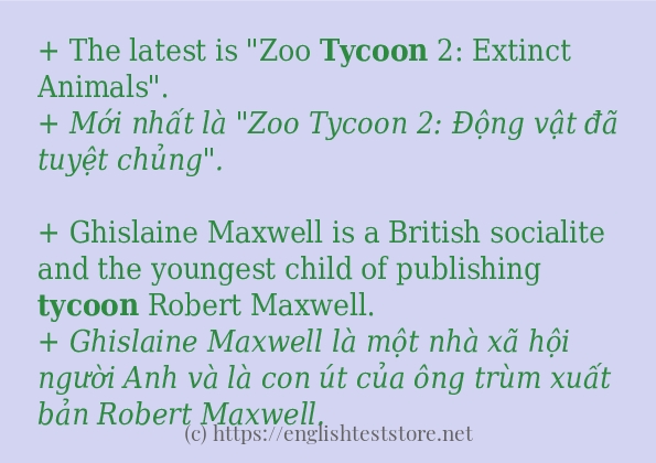 Cách dùng từ tycoon