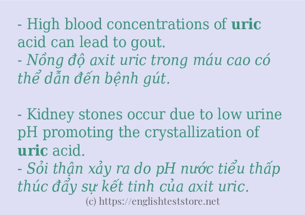 Cách dùng từ uric
