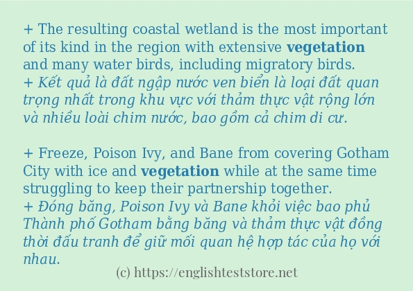 Cách dùng từ vegetation