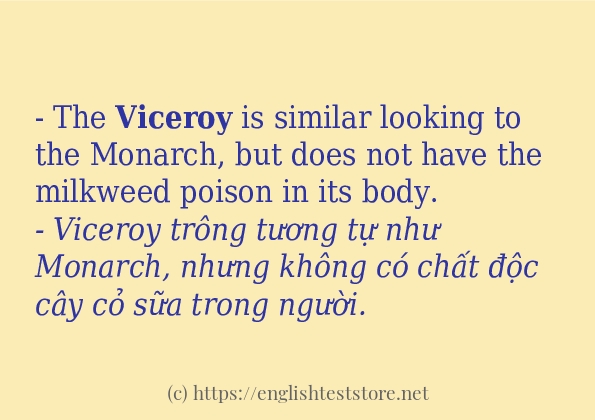 Cách dùng từ viceroy