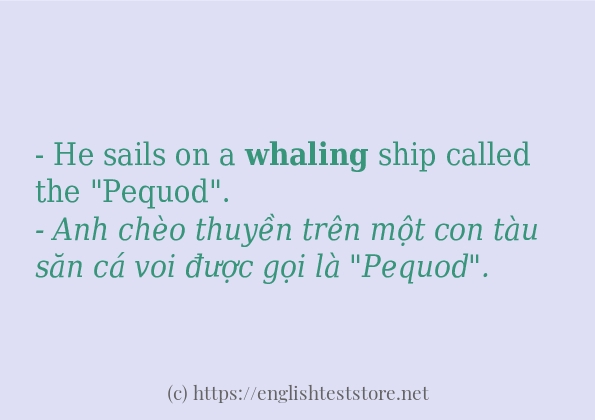Cách dùng từ whaling Cách dùng từ whaling
