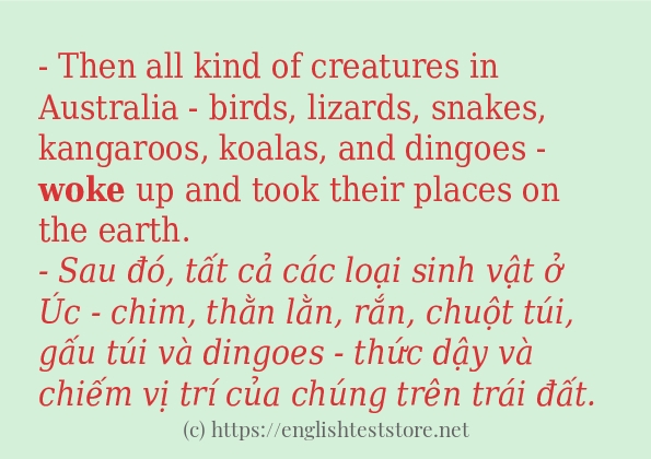 Cách dùng từ woke