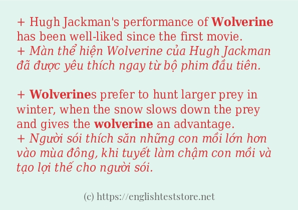 Cách dùng từ wolverine Cách dùng từ wolverine