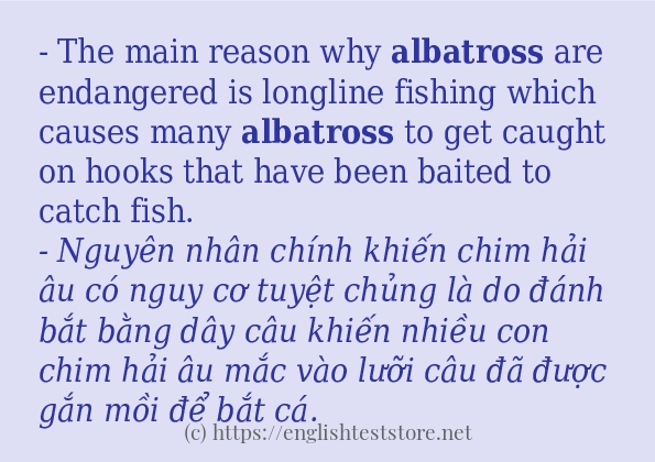 Cách dùng và câu ví dụ của từ albatross