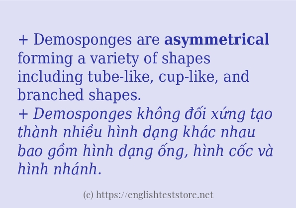 Cách dùng và câu ví dụ của từ asymmetrical