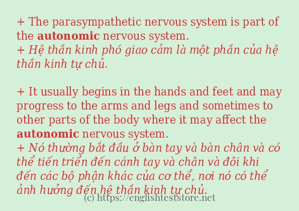 Cách dùng và câu ví dụ của từ autonomic