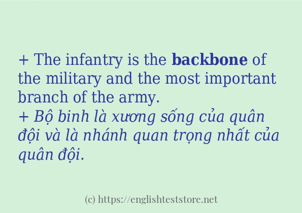 Cách dùng và câu ví dụ của từ backbone