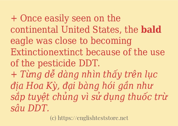 Cách dùng và câu ví dụ của từ bald