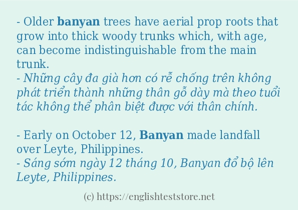 Cách dùng và câu ví dụ của từ banyan Cách dùng và câu ví dụ của từ banyan