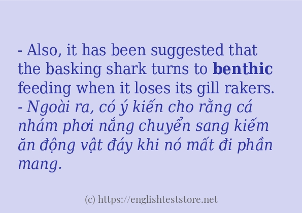 Cách dùng và câu ví dụ của từ benthic Cách dùng và câu ví dụ của từ benthic
