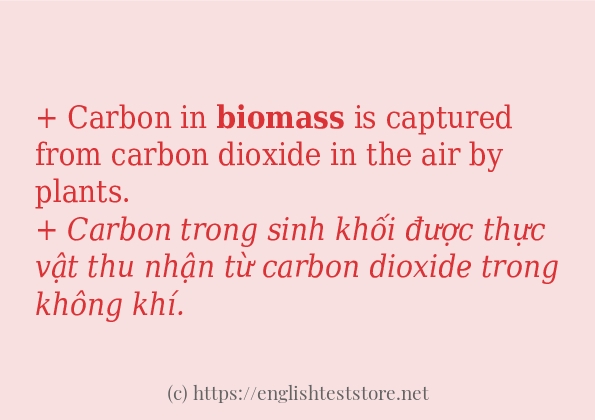 Cách dùng và câu ví dụ của từ biomass