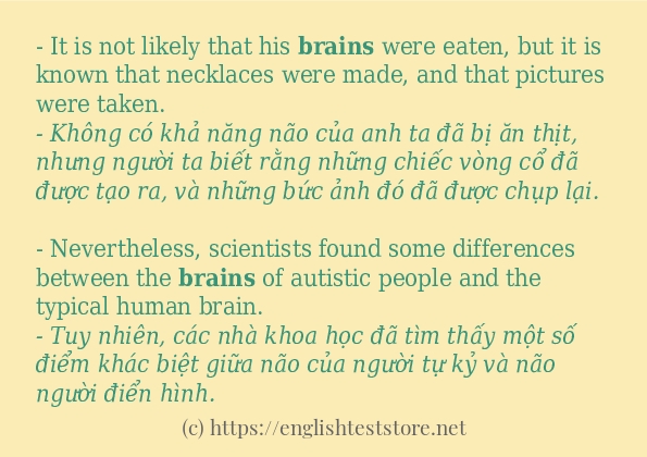 Cách dùng và câu ví dụ của từ brains