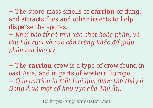 Cách dùng và câu ví dụ của từ carrion