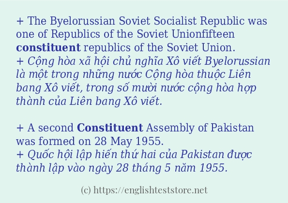 Cách dùng và câu ví dụ của từ constituent