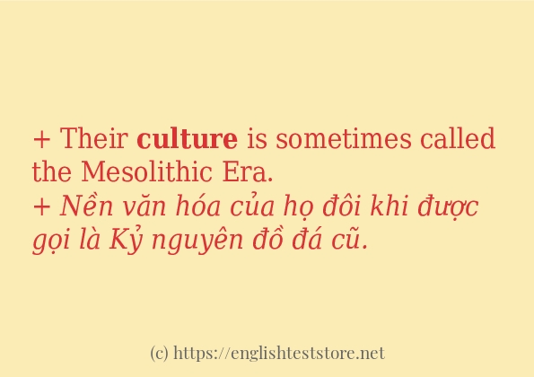 Cách dùng và câu ví dụ của từ culture